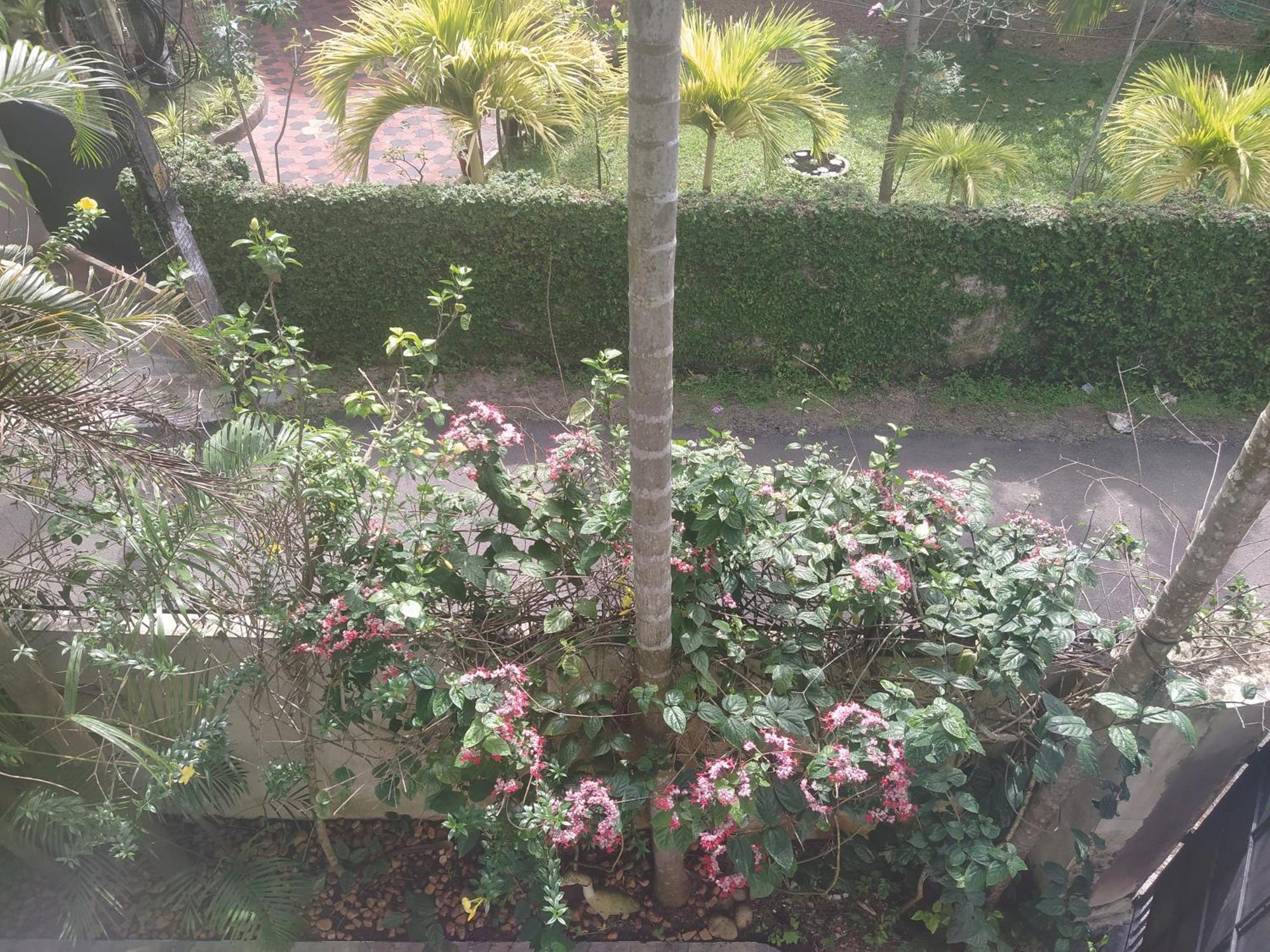 Paradise Inn Guest House Alappuzha Екстериор снимка